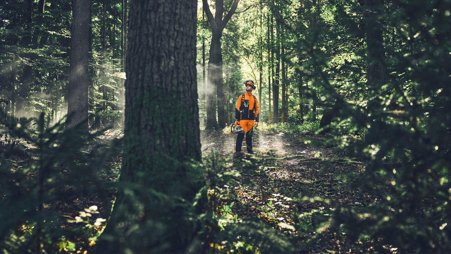 Skogsarbetare arbetar i skogen med en STIHL motorsåg